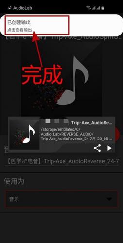 AUDIOLAB专业版