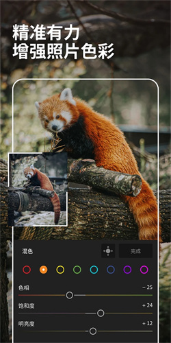 lightroom安卓版截图2