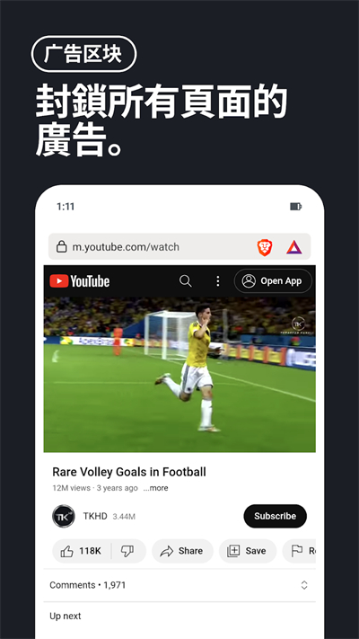 Brave浏览器截图3