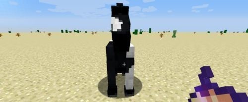 我的世界国际版手机版