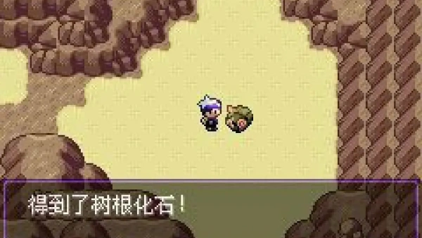 口袋妖怪漆黑的魅影截图3